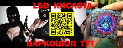 стафф Можга