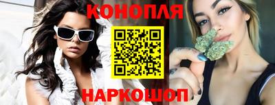 дживик Моздок
