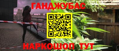 дживик Моздок