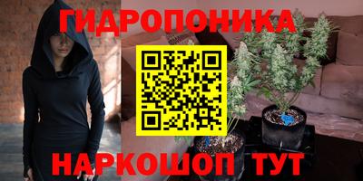 стафф Можга