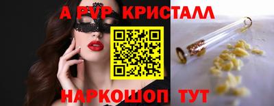 стафф Можга
