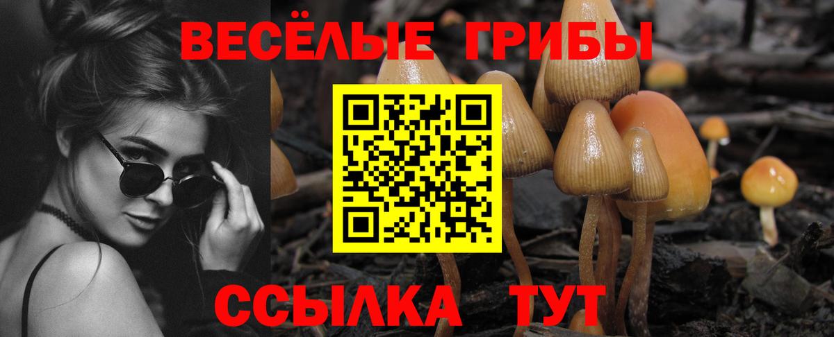 Галлюциногенные грибы мухоморы  Вход с VPN  Улан-Удэ  Галлюциногенные грибы прущие грибы 
